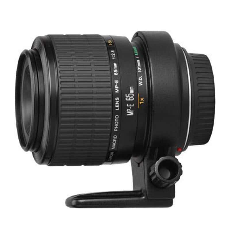 Canon MP-E 65 f/2.8 1-5x Macro