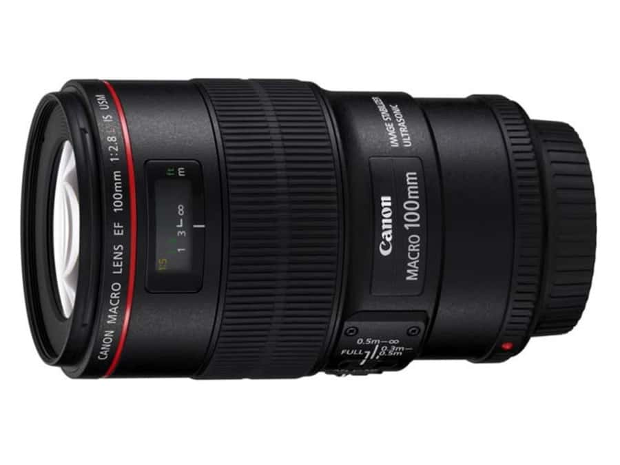 Canon EF 100 f/2.8 L Macro IS USM